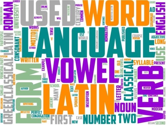 Latin Wordart Wallpaper