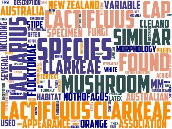 Macromorphology Wordart Book Cover