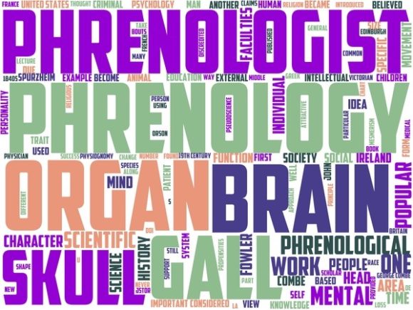 Phrenology Wordart Tshirt
