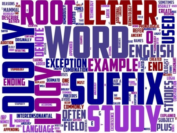 Phytolithology Wordart Banner: A Creative Catalyst for Purpose-Driven Design
