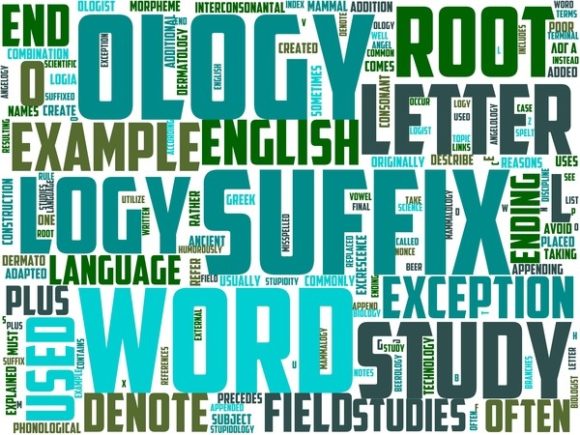 Phytopaleontology Wordart Book Cover