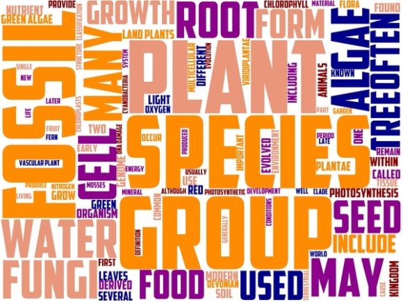Piano Wordart Tshirt: Where Music, Typography, and Craft Converge