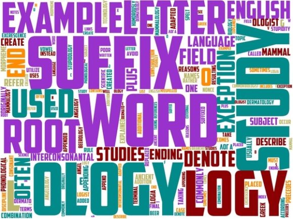 Plangonology Wordart Crafting: A Practical Tool for Visual Communication and Creative Execution