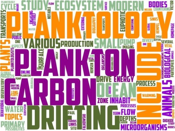Planktology Wordart Tshirt: Inspire Wearable Creativity with Hand-Drawn Wordcloud Design