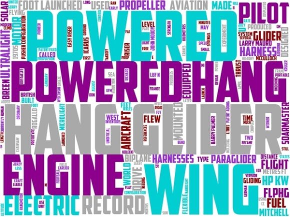 Powered Hang Glider Wordart Tumbler